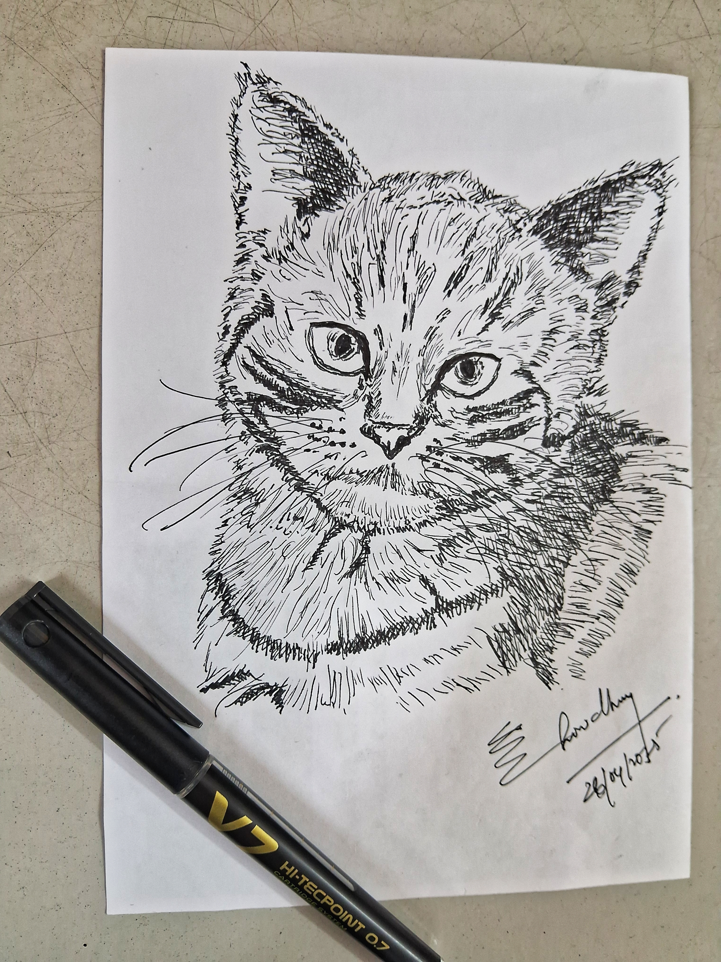 Cat — A sketch